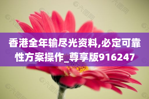 香港全年输尽光资料,必定可靠性方案操作_尊享版916247