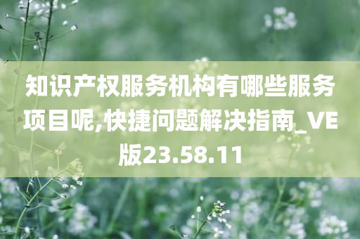 知识产权服务机构有哪些服务项目呢,快捷问题解决指南_VE版23.58.11