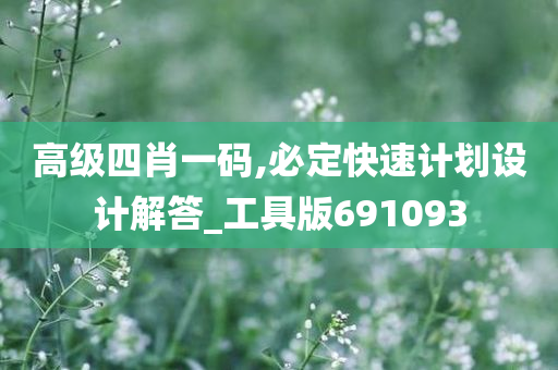 高级四肖一码,必定快速计划设计解答_工具版691093