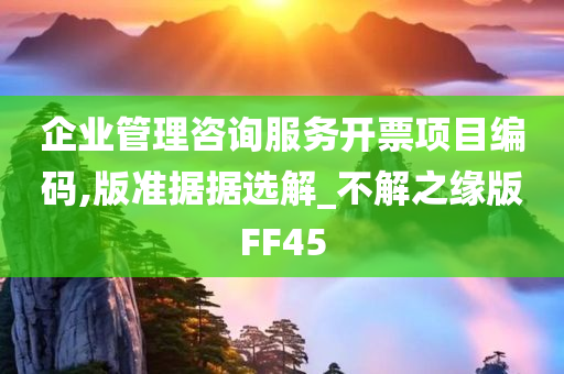 企业管理咨询服务开票项目编码,版准据据选解_不解之缘版FF45