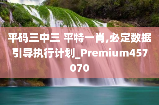 平码三中三 平特一肖,必定数据引导执行计划_Premium457070