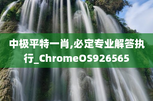 中极平特一肖,必定专业解答执行_ChromeOS926565