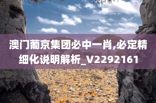 澳门葡京集团必中一肖,必定精细化说明解析_V2292161