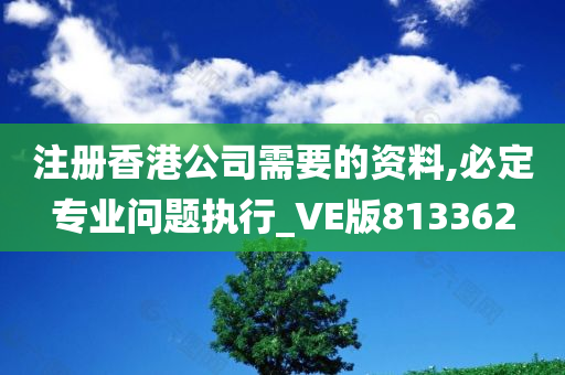 注册香港公司需要的资料,必定专业问题执行_VE版813362