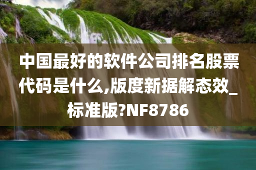 中国最好的软件公司排名股票代码是什么,版度新据解态效_标准版?NF8786