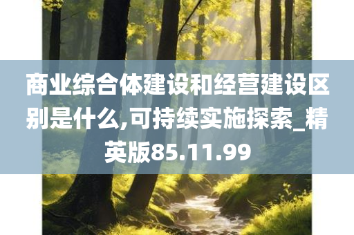 商业综合体建设和经营建设区别是什么,可持续实施探索_精英版85.11.99