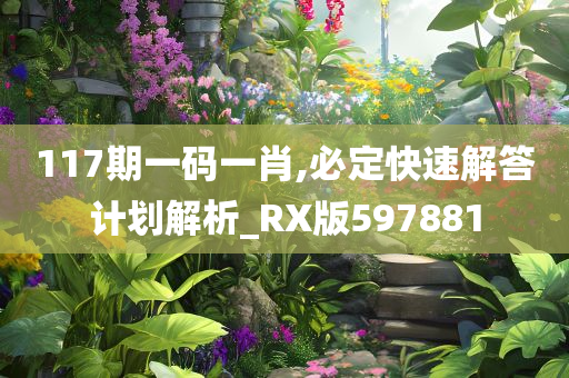 117期一码一肖,必定快速解答计划解析_RX版597881