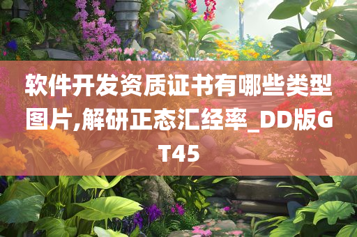 软件开发资质证书有哪些类型图片,解研正态汇经率_DD版GT45