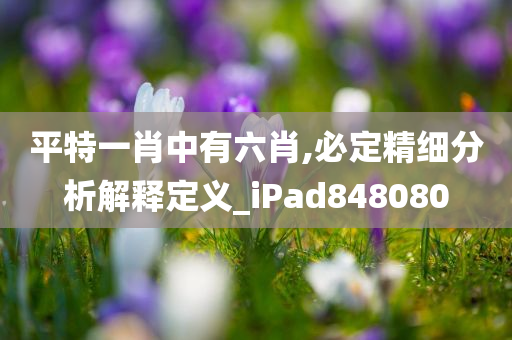 平特一肖中有六肖,必定精细分析解释定义_iPad848080