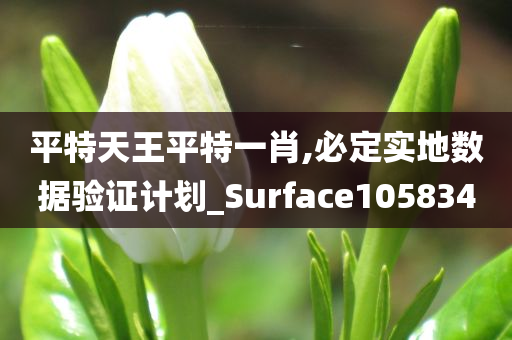 平特天王平特一肖,必定实地数据验证计划_Surface105834