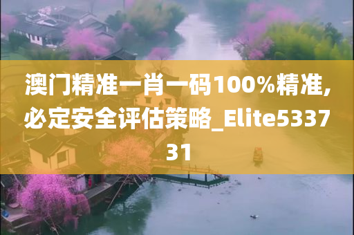 澳门精准一肖一码100%精准,必定安全评估策略_Elite533731