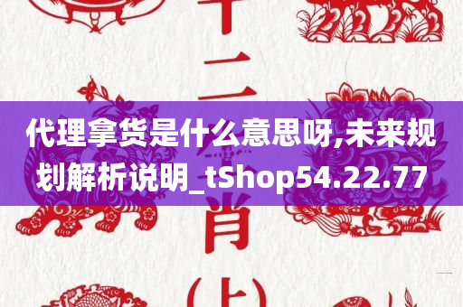 代理拿货是什么意思呀,未来规划解析说明_tShop54.22.77