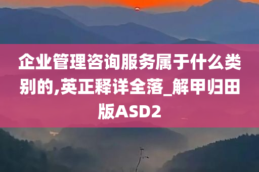 企业管理咨询服务属于什么类别的,英正释详全落_解甲归田版ASD2