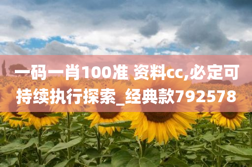 一码一肖100准 资料cc,必定可持续执行探索_经典款792578