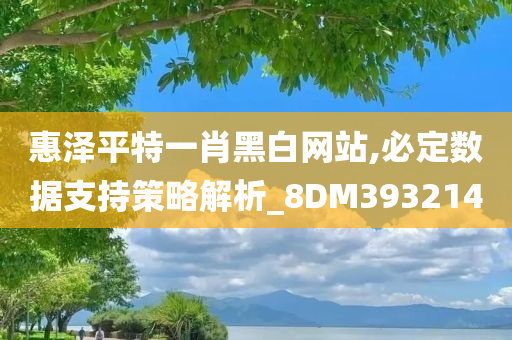 惠泽平特一肖黑白网站,必定数据支持策略解析_8DM393214