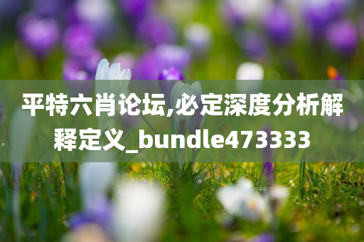 平特六肖论坛,必定深度分析解释定义_bundle473333