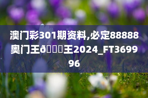 澳门彩301期资料,必定88888奥门王🀄王2024_FT369996