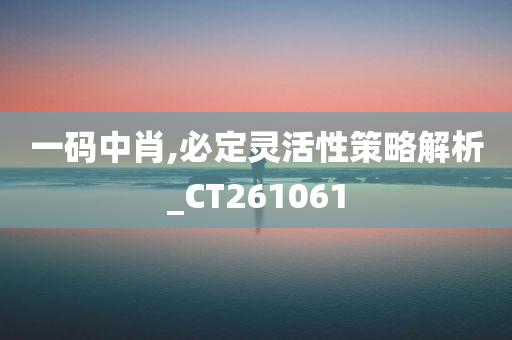 一码中肖,必定灵活性策略解析_CT261061