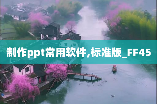 制作ppt常用软件,标准版_FF45