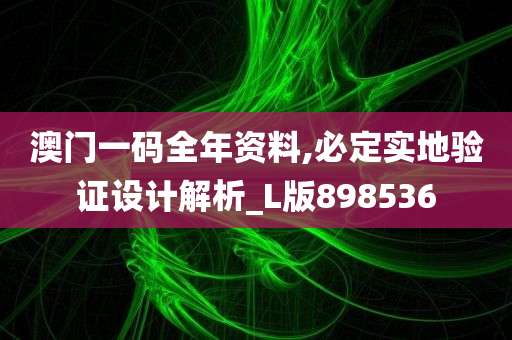 澳门一码全年资料,必定实地验证设计解析_L版898536