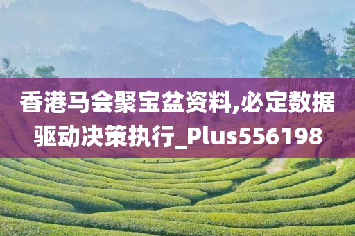 香港马会聚宝盆资料,必定数据驱动决策执行_Plus556198