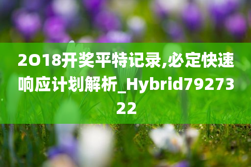 2O18开奖平特记录,必定快速响应计划解析_Hybrid7927322