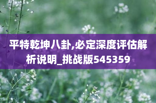 平特乾坤八卦,必定深度评估解析说明_挑战版545359