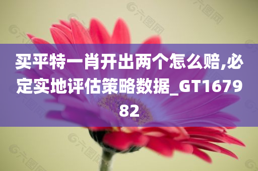 买平特一肖开出两个怎么赔,必定实地评估策略数据_GT167982