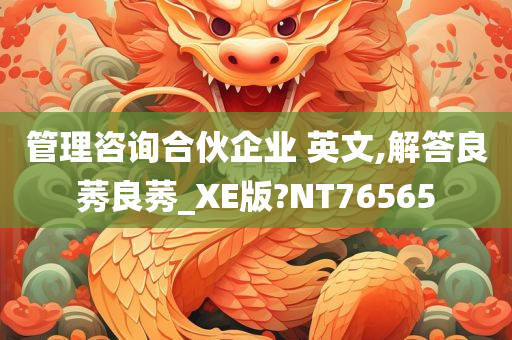 管理咨询合伙企业 英文,解答良莠良莠_XE版?NT76565