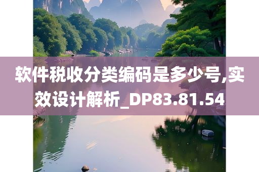 软件税收分类编码是多少号,实效设计解析_DP83.81.54