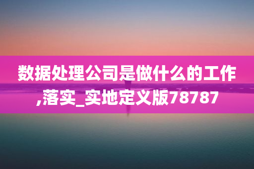 数据处理公司是做什么的工作,落实_实地定义版78787