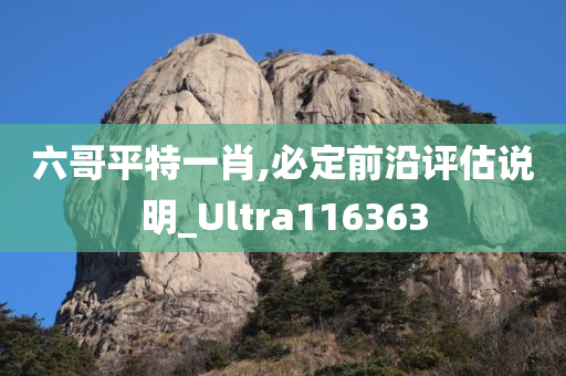 六哥平特一肖,必定前沿评估说明_Ultra116363