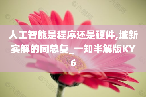 人工智能是程序还是硬件,域新实解的同总复_一知半解版KY6