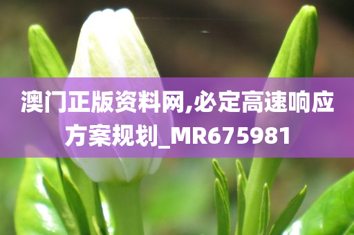 澳门正版资料网,必定高速响应方案规划_MR675981