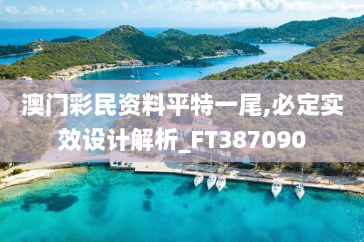 澳门彩民资料平特一尾,必定实效设计解析_FT387090