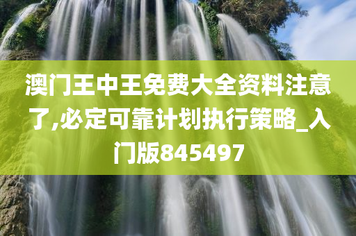 澳门王中王免费大全资料注意了,必定可靠计划执行策略_入门版845497