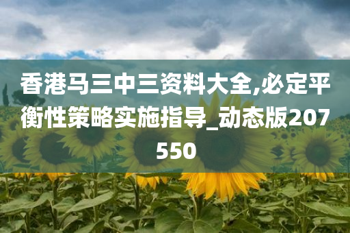 香港马三中三资料大全,必定平衡性策略实施指导_动态版207550