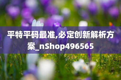 平特平码最准,必定创新解析方案_nShop496565