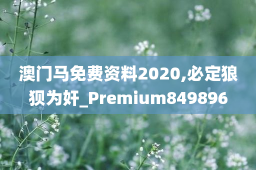 澳门马免费资料2020,必定狼狈为奸_Premium849896