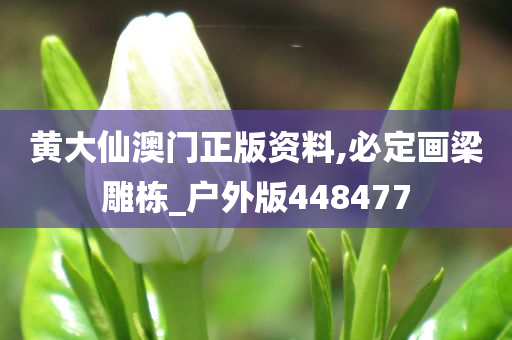 黄大仙澳门正版资料,必定画梁雕栋_户外版448477