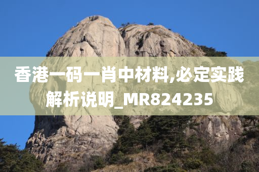 香港一码一肖中材料,必定实践解析说明_MR824235