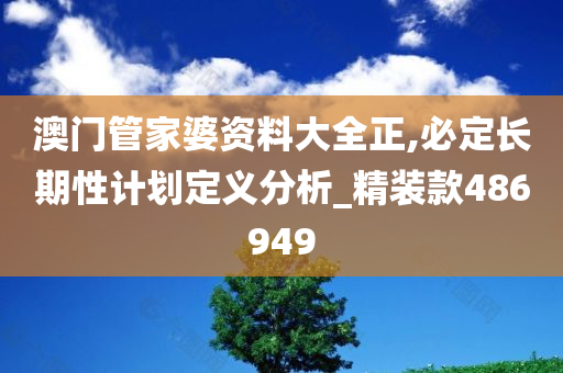 澳门管家婆资料大全正,必定长期性计划定义分析_精装款486949