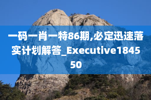 一码一肖一特86期,必定迅速落实计划解答_Executive184550