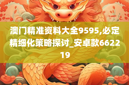 澳门精准资料大全9595,必定精细化策略探讨_安卓款662219