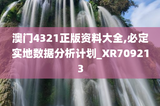 澳门4321正版资料大全,必定实地数据分析计划_XR709213