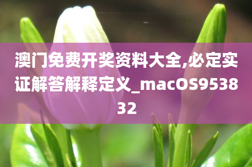 澳门免费开奖资料大全,必定实证解答解释定义_macOS953832