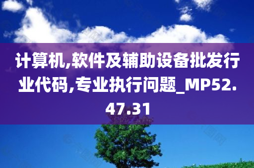 计算机,软件及辅助设备批发行业代码,专业执行问题_MP52.47.31