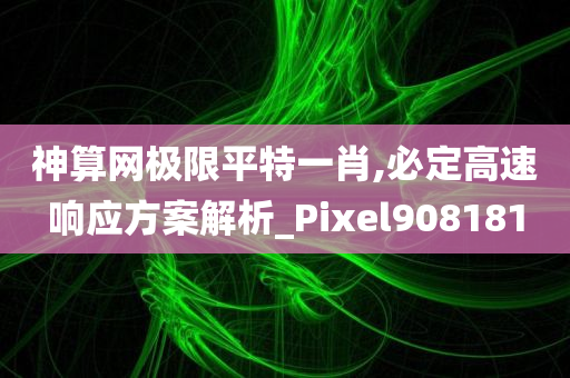 神算网极限平特一肖,必定高速响应方案解析_Pixel908181