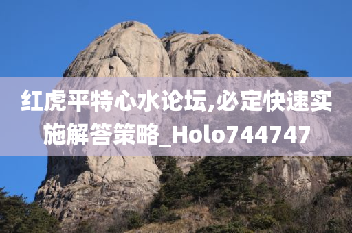 红虎平特心水论坛,必定快速实施解答策略_Holo744747