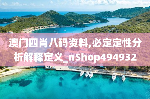 澳门四肖八码资料,必定定性分析解释定义_nShop494932